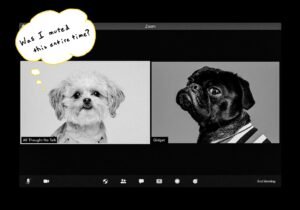 The Downsides of Remote Work: A Gen Z Perspective