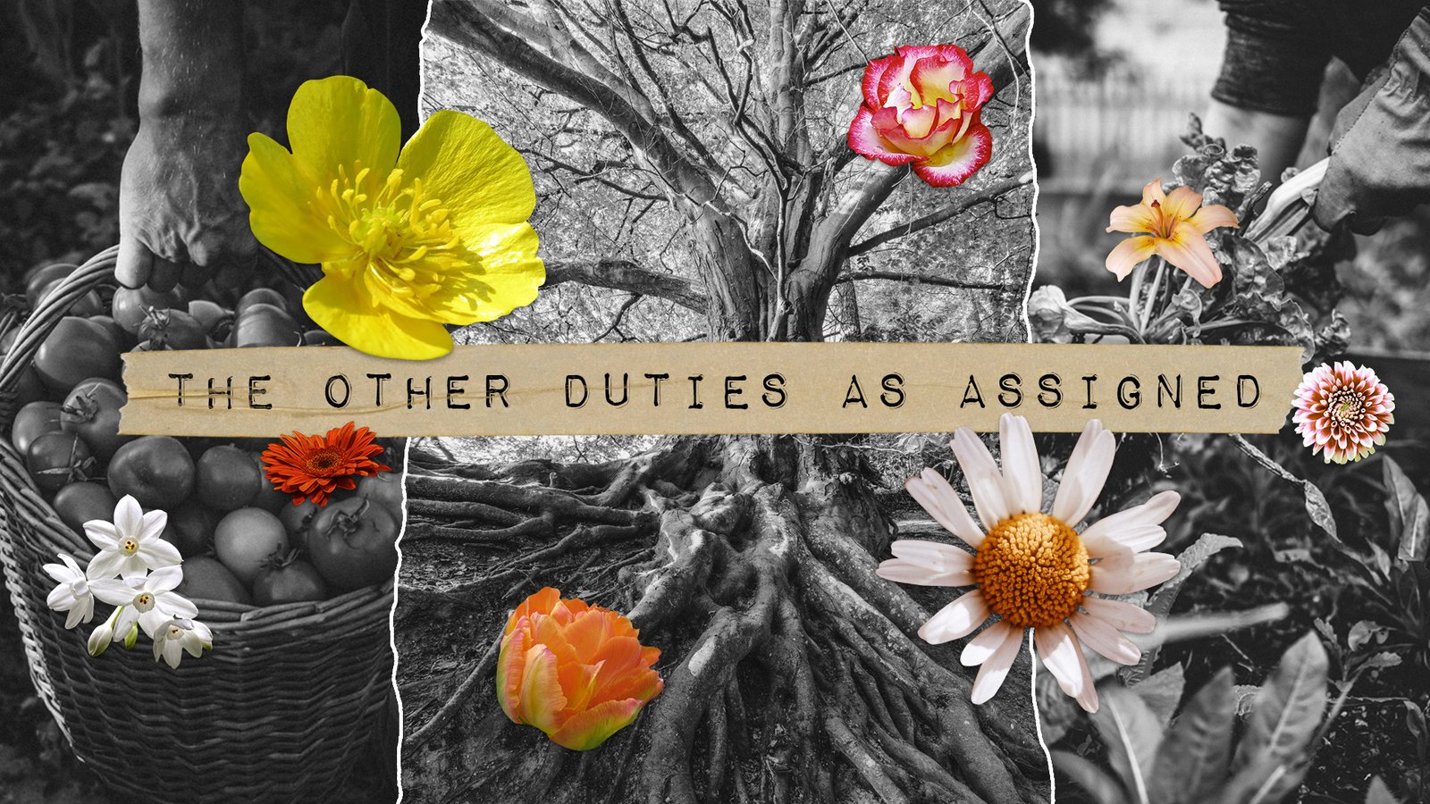 The Other Duties As Assigned.